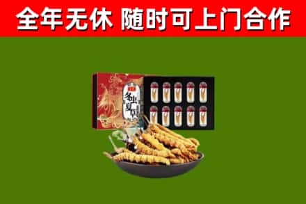 三门峡回收冬虫夏草价格